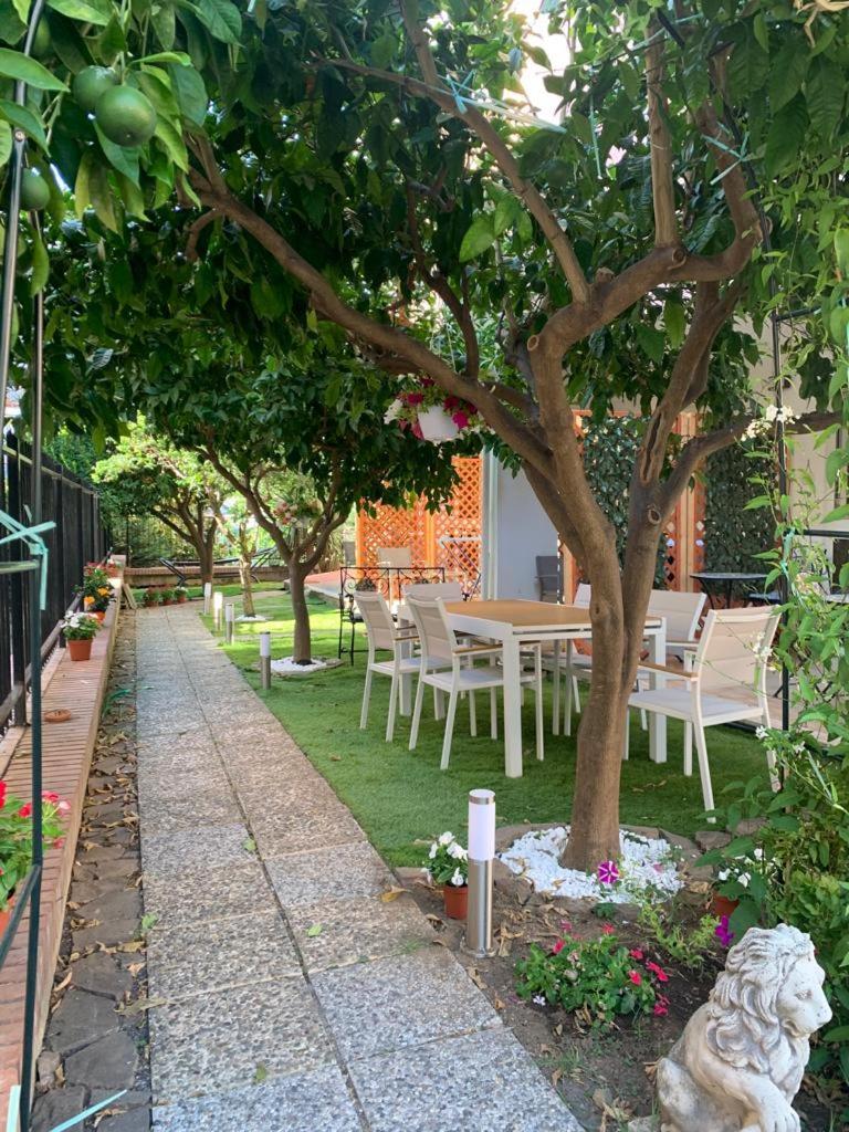 Bed & Breakfast Dimora Leone *